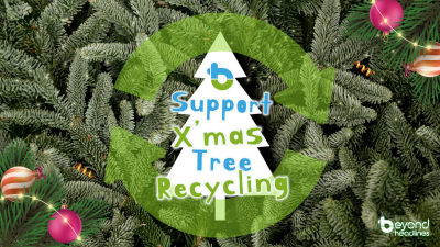 Protect the earth by recycling Christmas trees