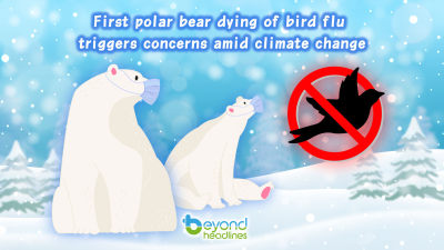 First polar bear dying of bird flu triggers concerns amid climate change