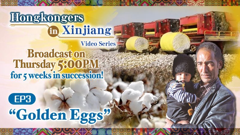 "Hongkongers in Xinjiang" video series – EP3: “Golden Eggs”