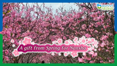 A gift from Spring for Nansha