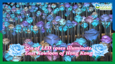 Sea of LED roses illuminate East Kowloon of Hong Kong