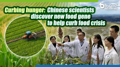 Curbing hunger: Chinese scientists discover new food gene to help curb food crisis