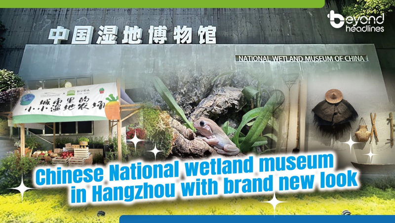 Chinese National wetland museum in Hangzhou with brand new look