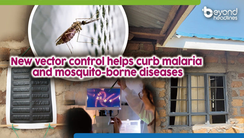 New vector control helps curb malaria and mosquito-borne diseases