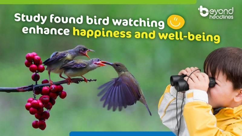 Study found bird watching enhance happiness and well-being