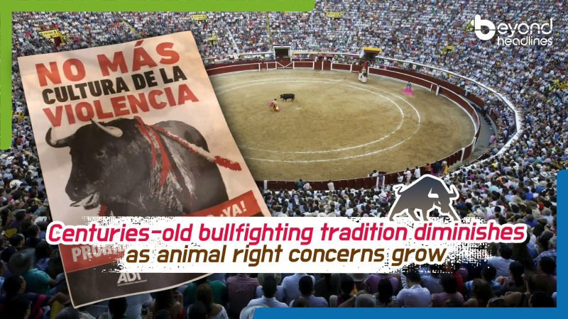 Centuries-old bullfighting tradition diminishes as animal right concerns grow