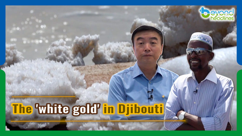 The 'white gold' in Djibouti