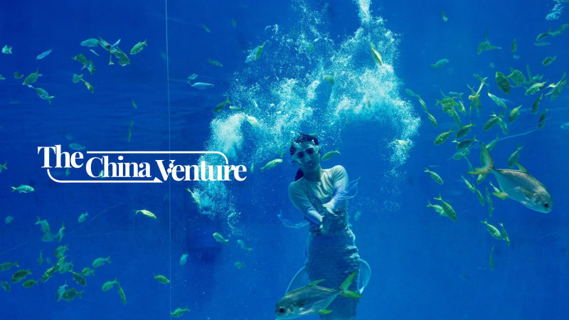 【The China Venture】 New stories to roll out each Friday from June 14