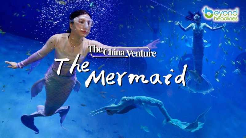 【The China Venture】EP7: The Mermaid