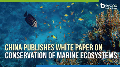 China publishes white paper on conservation of marine ecosystems