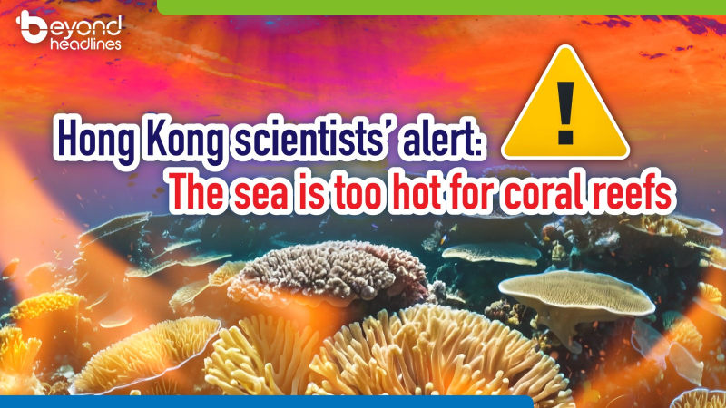 Hong Kong scientists’ alert: The sea is too hot for coral reefs