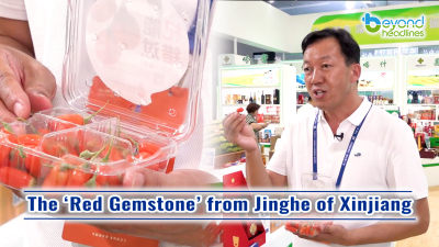 The ‘Red Gemstone’ from Jinghe of Xinjiang