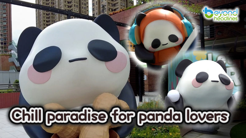 Chill paradise for panda lovers