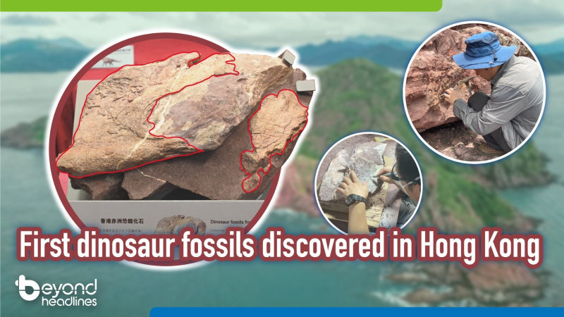 First dinosaur fossils discovered in Hong Kong