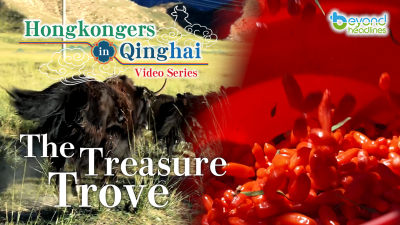 "Hongkongers in Qinghai" video series - EP2: The Treasure Trove