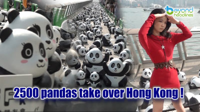 2500 pandas take over Hong Kong!