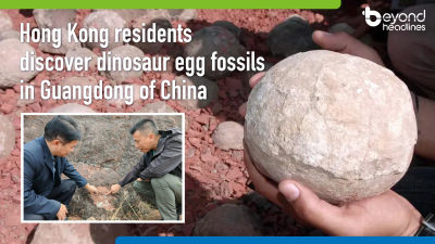 Hong Kong residents discover dinosaur egg fossils in Guangdong of China