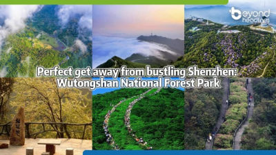 Perfect get away from bustling Shenzhen: Wutongshan National Forest Park