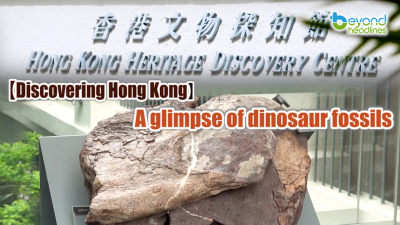 [Discovering Hong Kong] A glimpse of dinosaur fossils