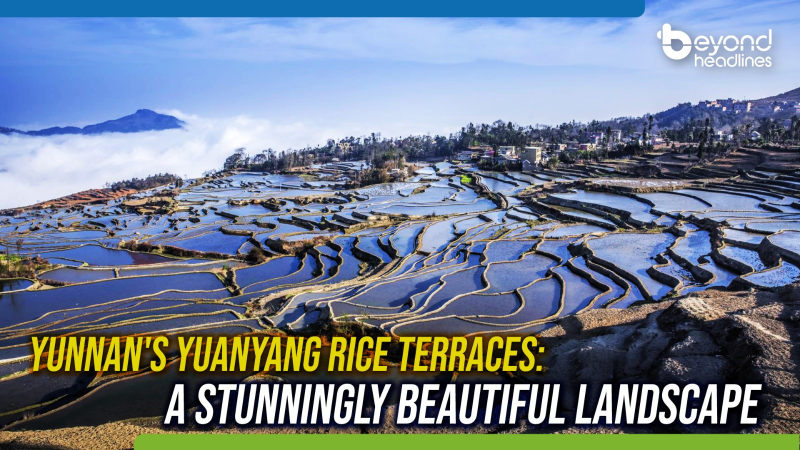 Yunnan's Yuanyang Rice Terraces: A Stunningly Beautiful Landscape