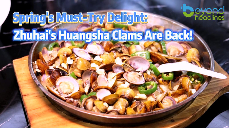 Spring’s Must-Try Delight: Zhuhai’s Huangsha Clams Are Back!