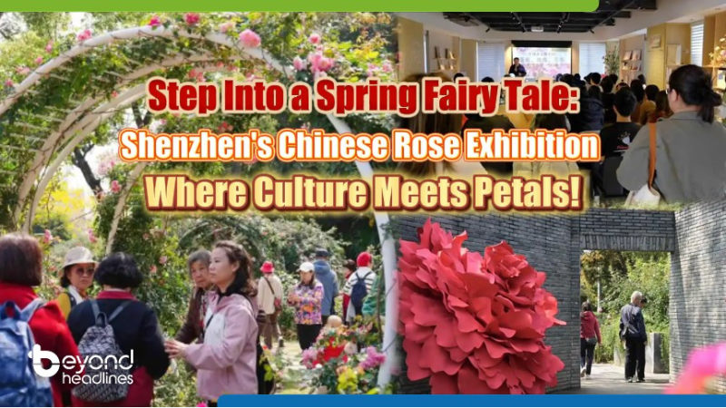 Step Into a Spring Fairy Tale: Shenzhen’s Chinese Rose Exhibition Where Culture Meets Petals!