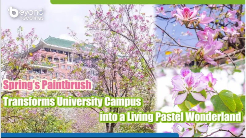 Spring’s Paintbrush Transforms University Campus into a Living Pastel Wonderland