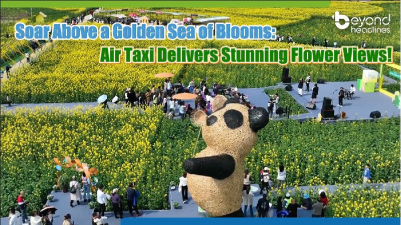 Soar Above a Golden Sea of Blooms: Air Taxi Delivers Stunning Flower Views!