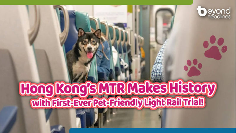 Hong Kong’s MTR Makes History with First-Ever Pet-Friendly Light Rail Trial!