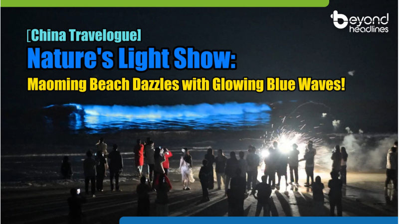 [China Travelogue] Nature's Light Show: Maoming Beach Dazzles with Glowing Blue Waves!