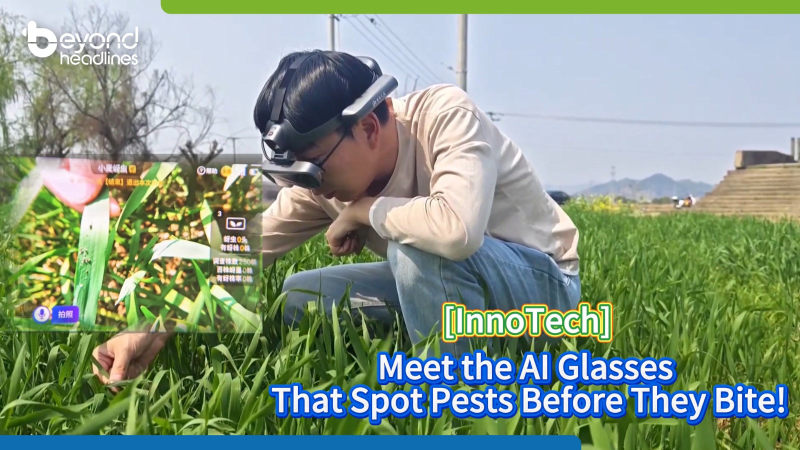[InnoTech] Meet the AI Glasses That Spot Pests Before They Bite!