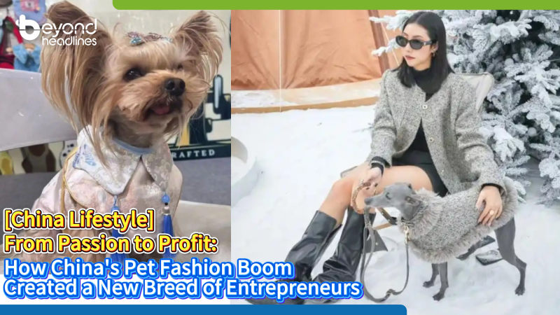 【China Lifestyle】 From Passion to Profit: How China’s Pet Fashion Boom Created a New Breed of Entrepreneurs