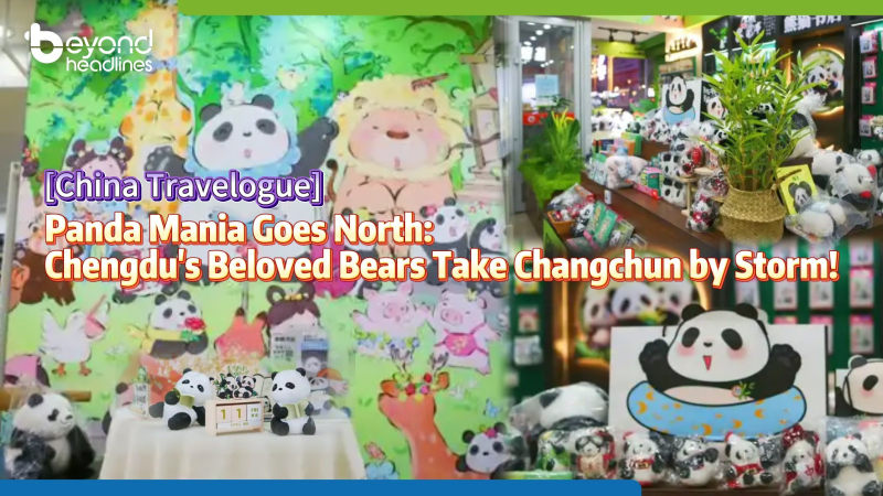 [China Travelogue] Panda Mania Goes North: Chengdu’s Beloved Bears Take Changchun by Storm!