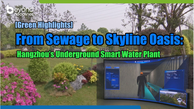 [Green Highlights] Skyline Oasis: Hangzhou's Underground Marvel Redefines Water Treatment