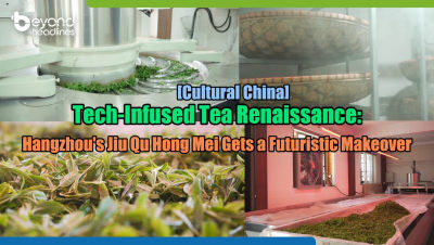 [Cultural China] Tech-Infused Tea Renaissance: Hangzhou’s Jiu Qu Hong Mei Gets a Futuristic Makeover