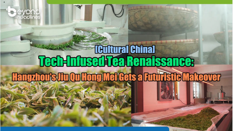 [Cultural China] Tech-Infused Tea Renaissance: Hangzhou’s Jiu Qu Hong Mei Gets a Futuristic Makeover