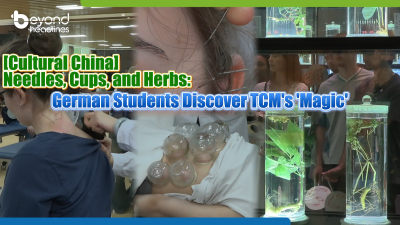 [Cultural China] Needles, Cups, and Herbs: German Students Discover TCM’s ‘Magic’