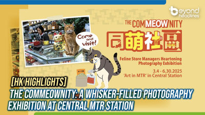[HK Highlights] THE COMMEOWNITY: A Whisker-Filled Photography Exhibition at Central MTR Station