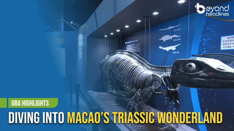 [GBA Highlights] Diving Into Macao's Triassic Wonderland