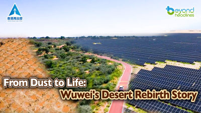 From Dust to Life: Wuwei's Desert Rebirth Story