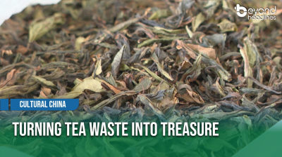 [Cultural China] Turning Tea Waste into Treasure