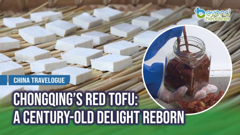 [China Travelogue] Chongqing’s Red Tofu: A Century-Old Delight Reborn
