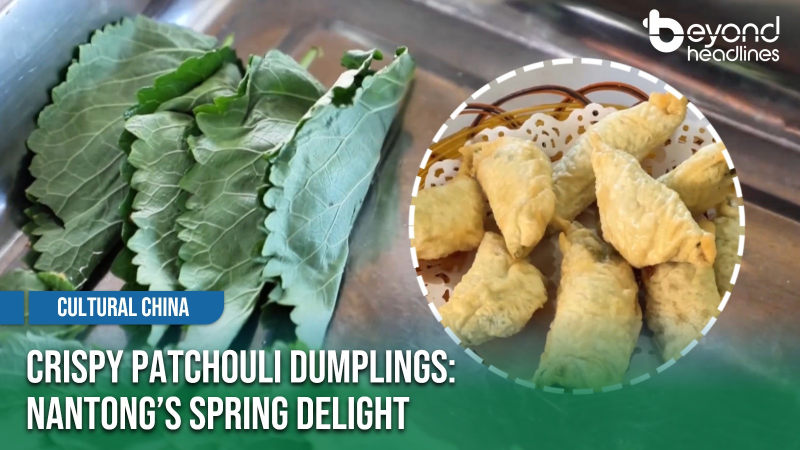 [China Travelogue] Crispy Patchouli Dumplings: Nantong’s Spring Delight