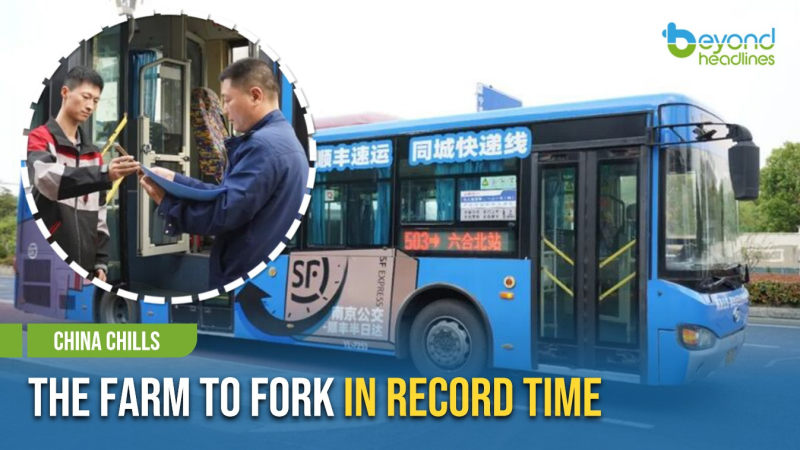 [China Chills] The Farm to Fork in Record Time