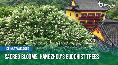 [China Travelogue] Sacred Blooms: Hangzhou’s Buddhist Trees