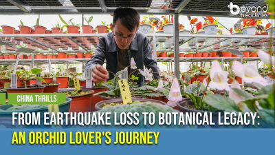 [China Thrills] From Earthquake Loss to Botanical Legacy: An Orchid Lover's Journey