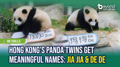 [Hong Kong Chills] Hong Kong’s Panda Twins Get Meaningful Names: Jia Jia & De De