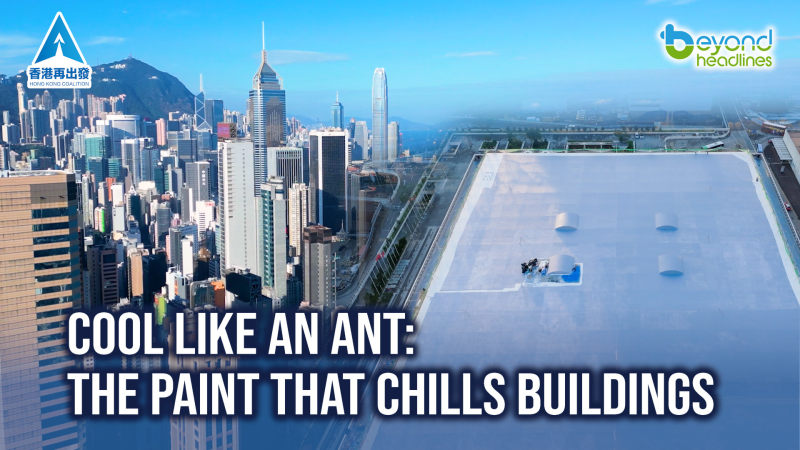 Cool Like an Ant: The Paint That Chills Buildings