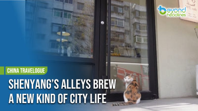 [China Travelogue] Shenyang’s Alleys Brew a New Kind of City Life