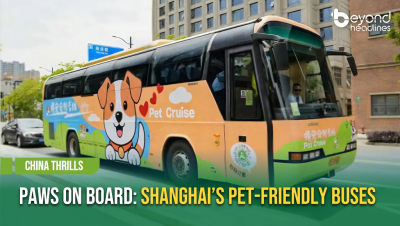 [China Thrills] Paws on Board: Shanghai’s Pet-Friendly Buses